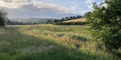 Langley Moor (June 2021) Langley Moor (June 2021)