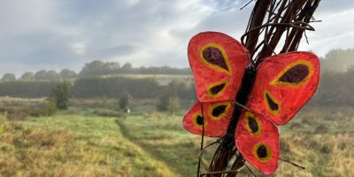 Butterfly (Sept 2025) Butterfly (Sept 2025)